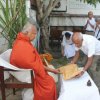 Releasing of Cattle meant for Slaughter’ held on 27th June 2018 (Poson poya day)